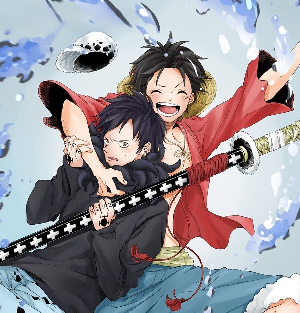 law x luffy 12