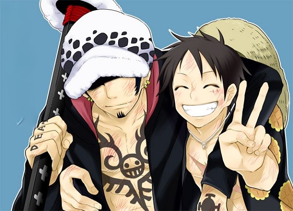 law x luffy 13