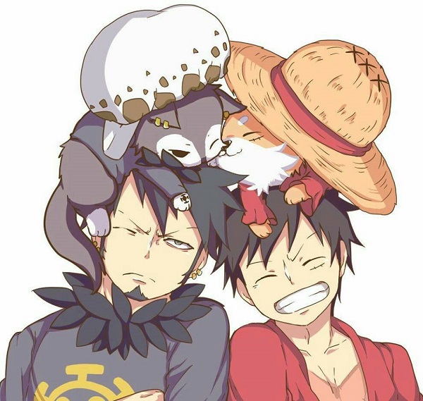 law x luffy 22
