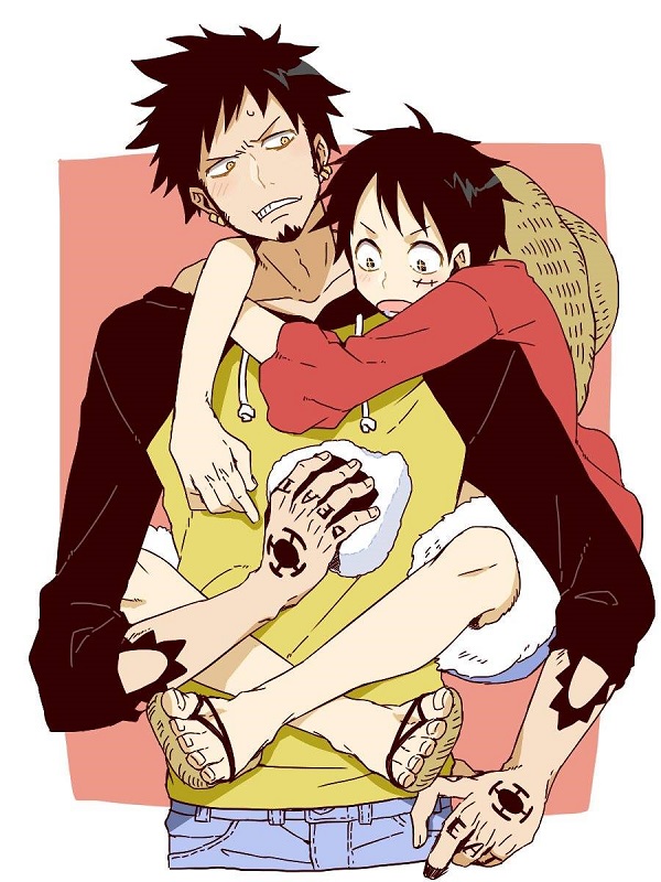 law x luffy 23