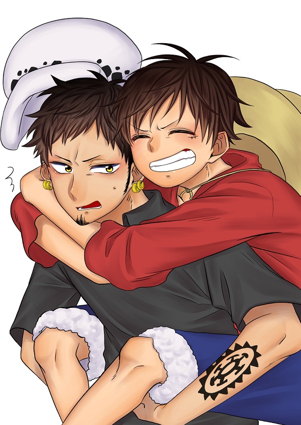 law x luffy 29