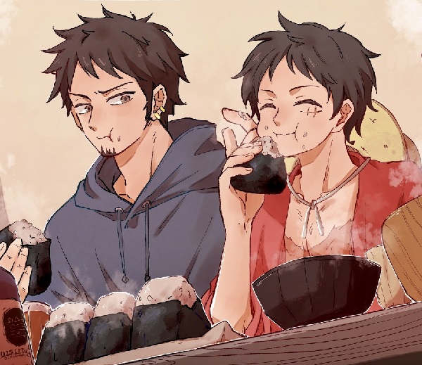 law x luffy 5