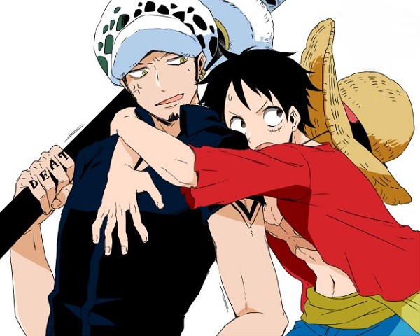law x luffy 8