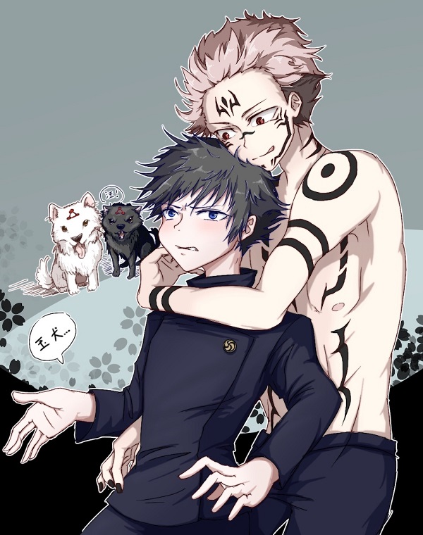 sukuna x megumi 20