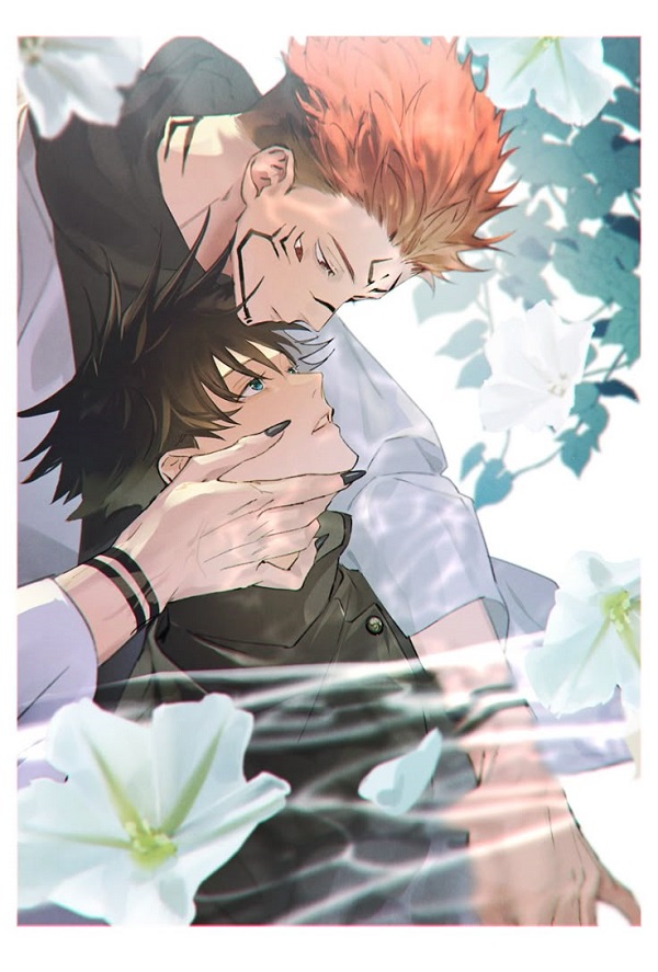 sukuna x megumi 25