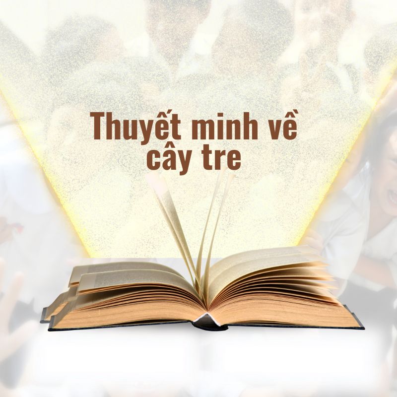 thuyết minh về cây tre