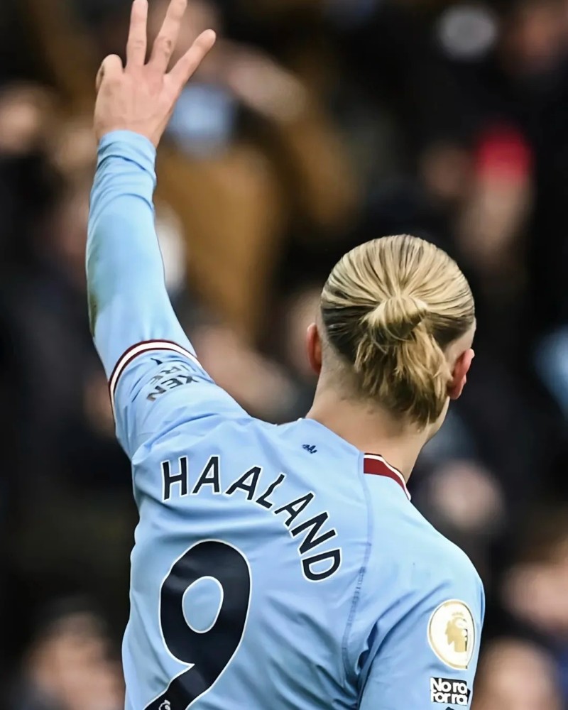Hình ảnh Haaland ngầu 7