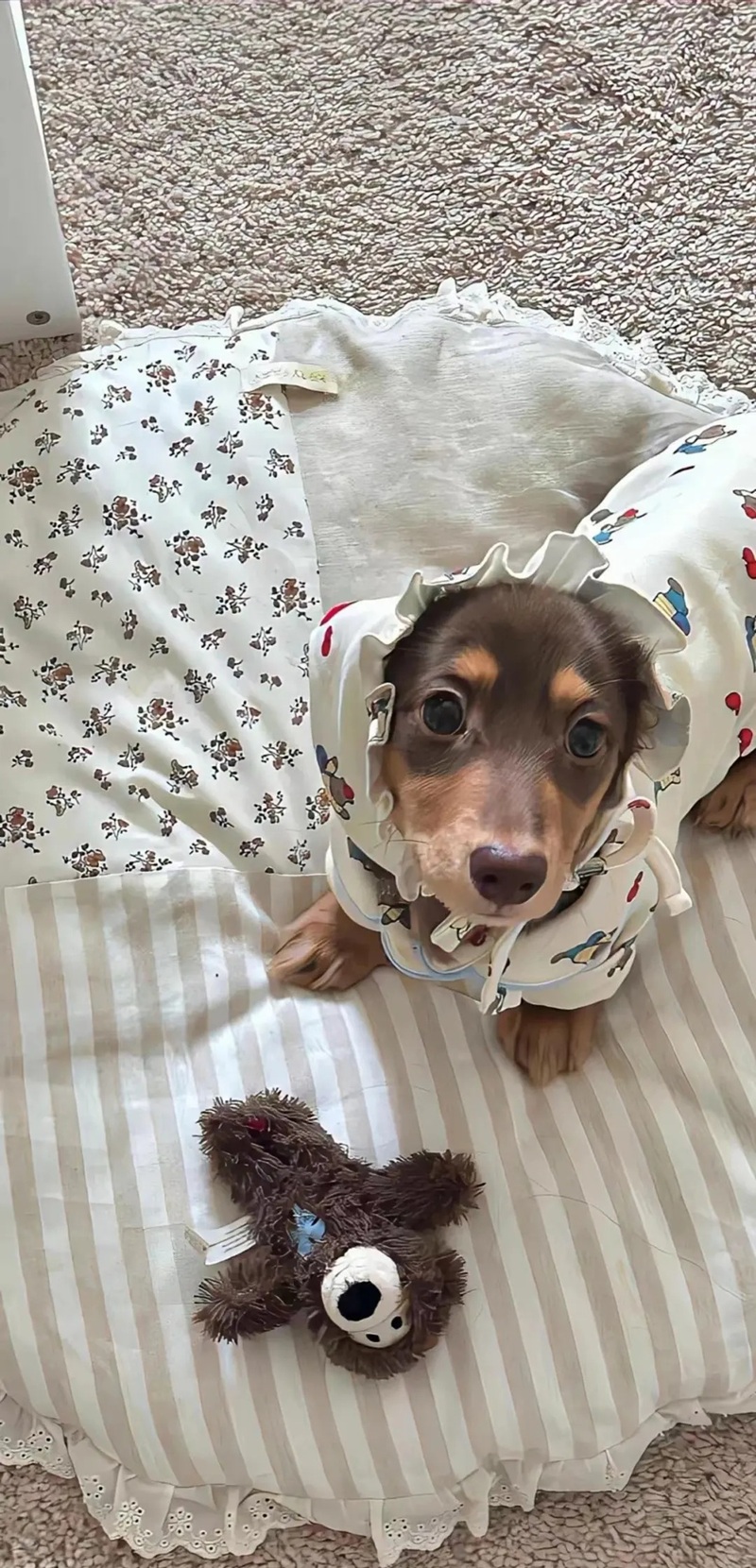Hình nền vô tri cute 17