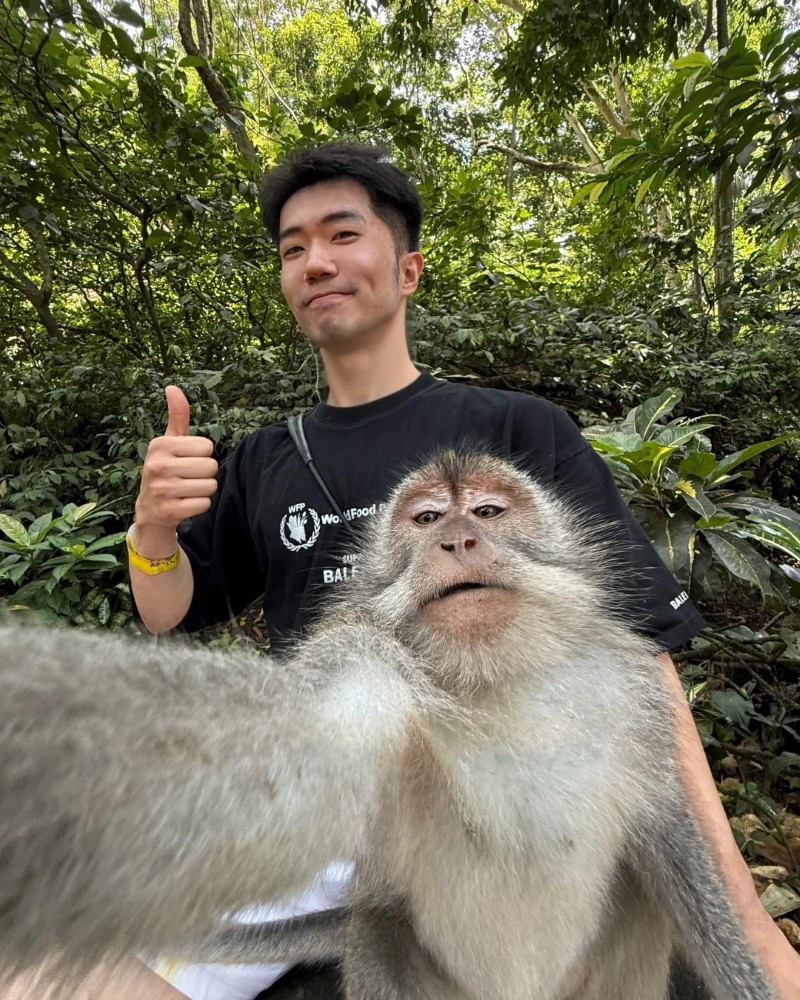 ảnh con khỉ cười 9
