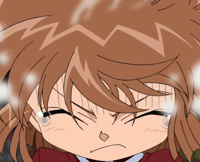 ảnh haibara hài 15