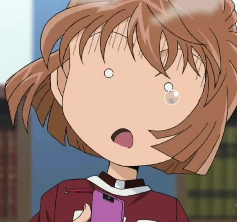 ảnh haibara hài 19