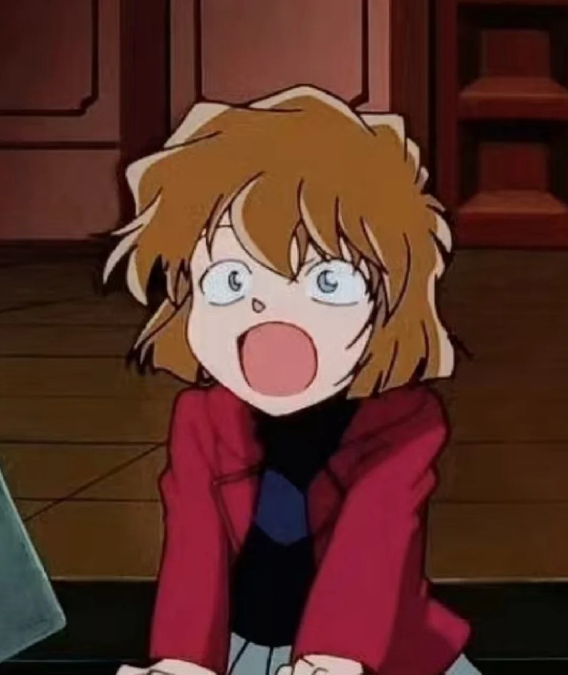 ảnh haibara hài 28