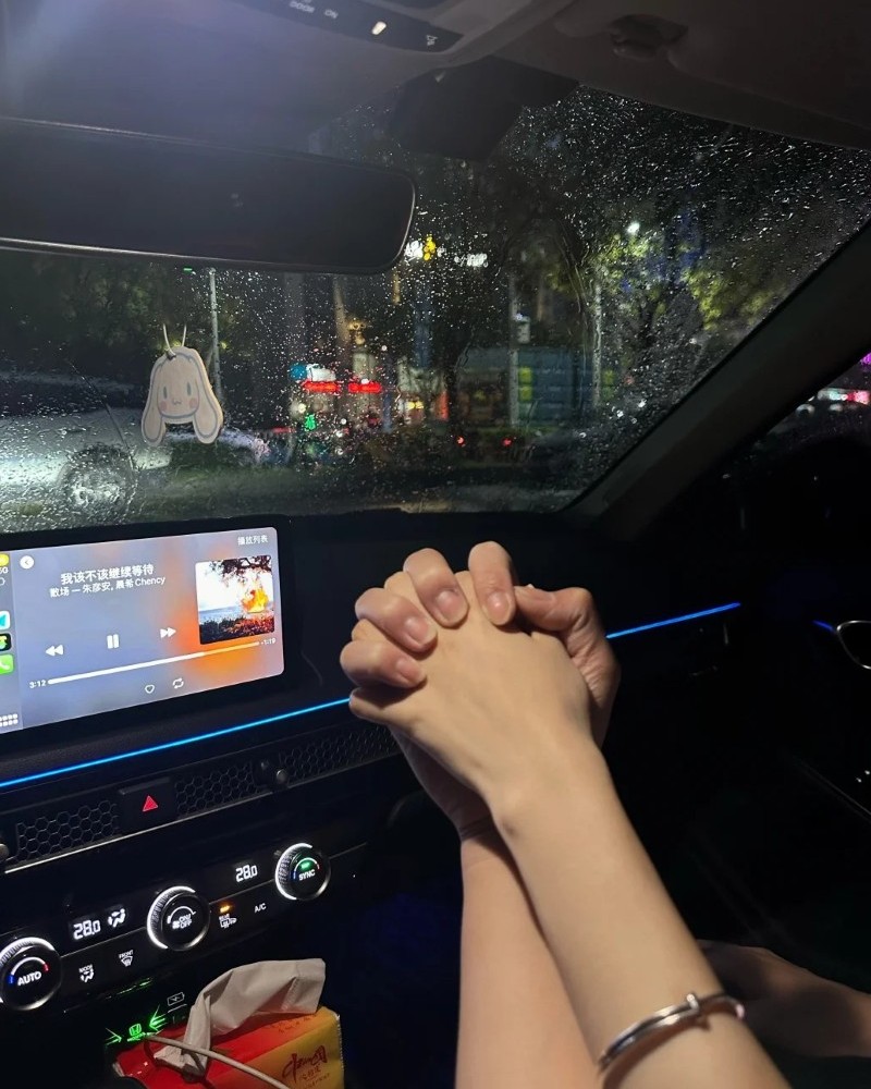 ảnh nắm tay trên ô tô 16