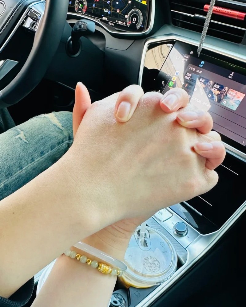 ảnh nắm tay trên ô tô 27