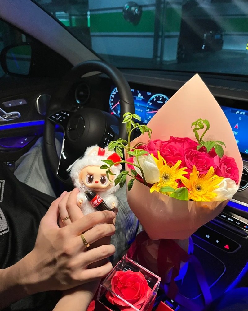 ảnh nắm tay trên ô tô 31