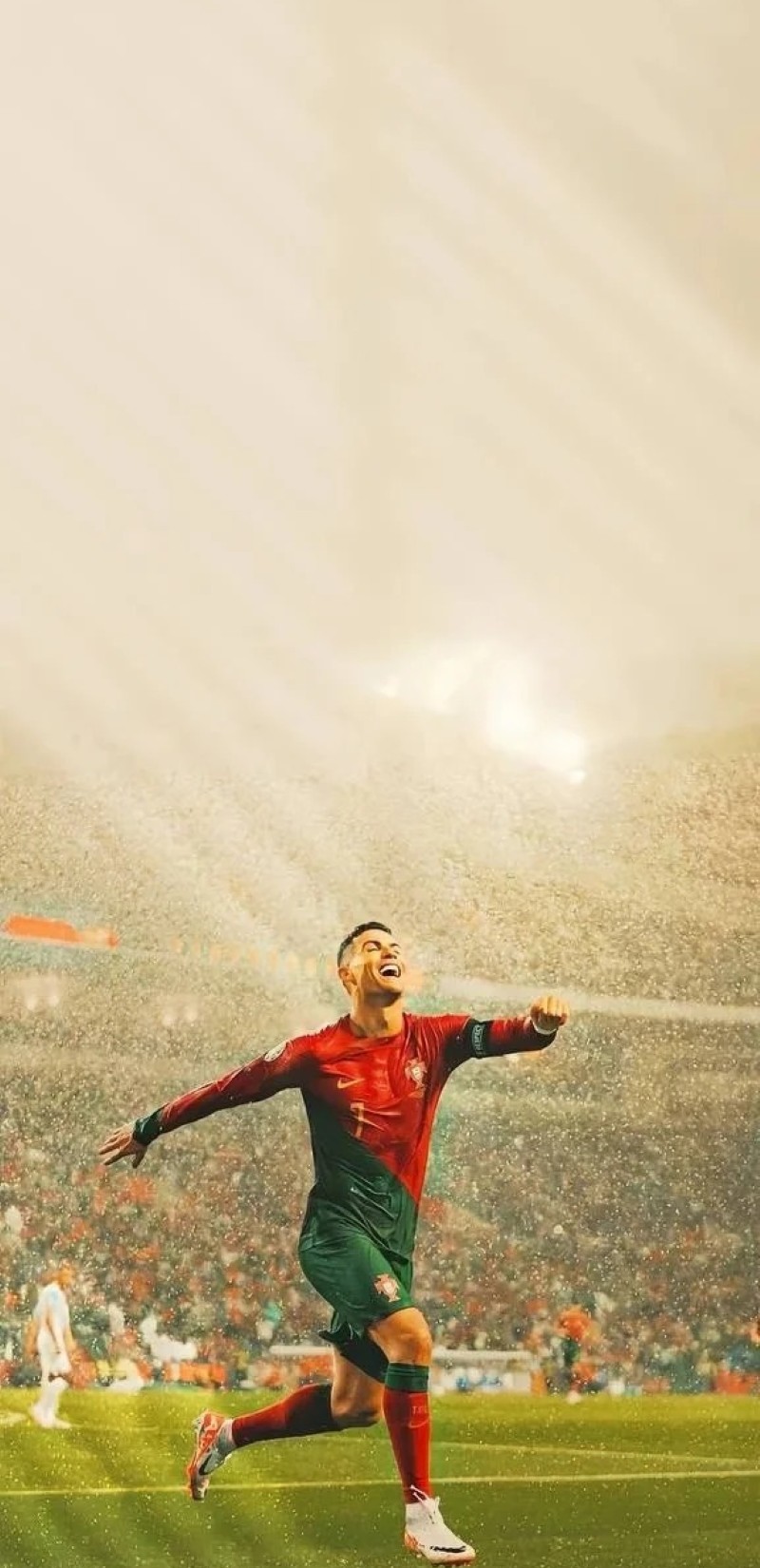 ảnh ronaldo ngầu 3