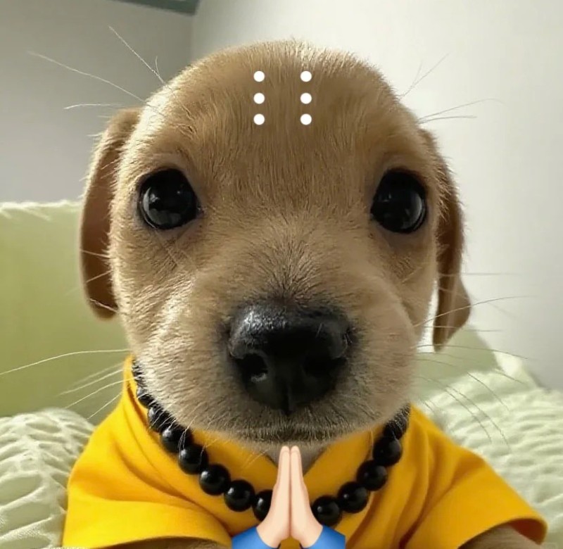 ảnh tịnh tâm cute 9