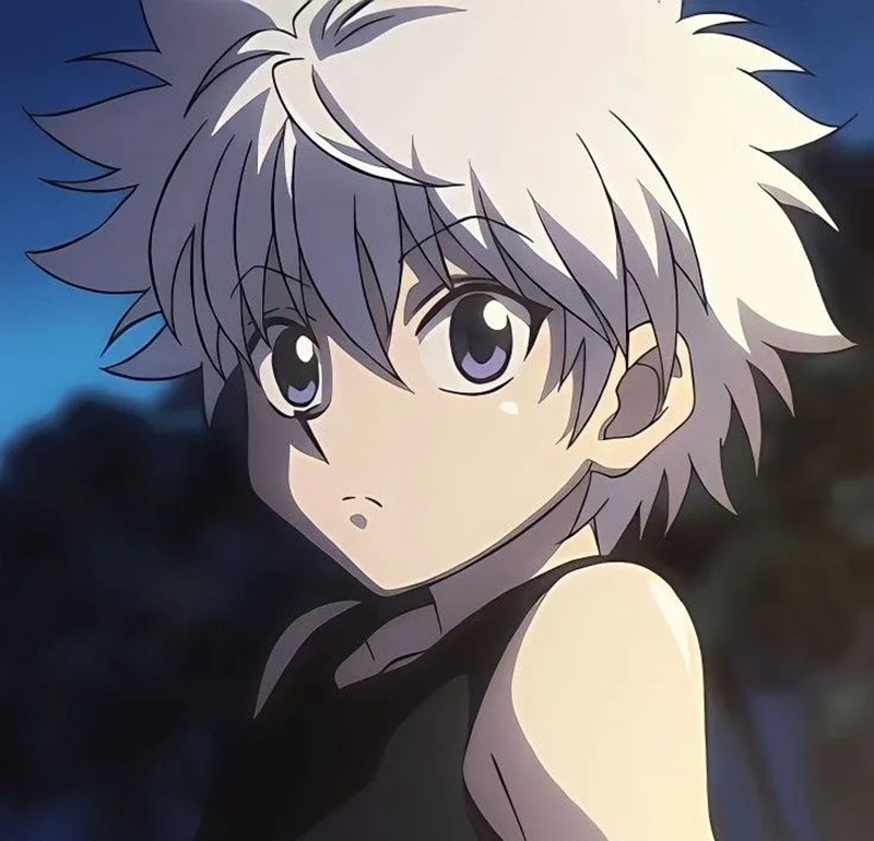 avatar killua 14