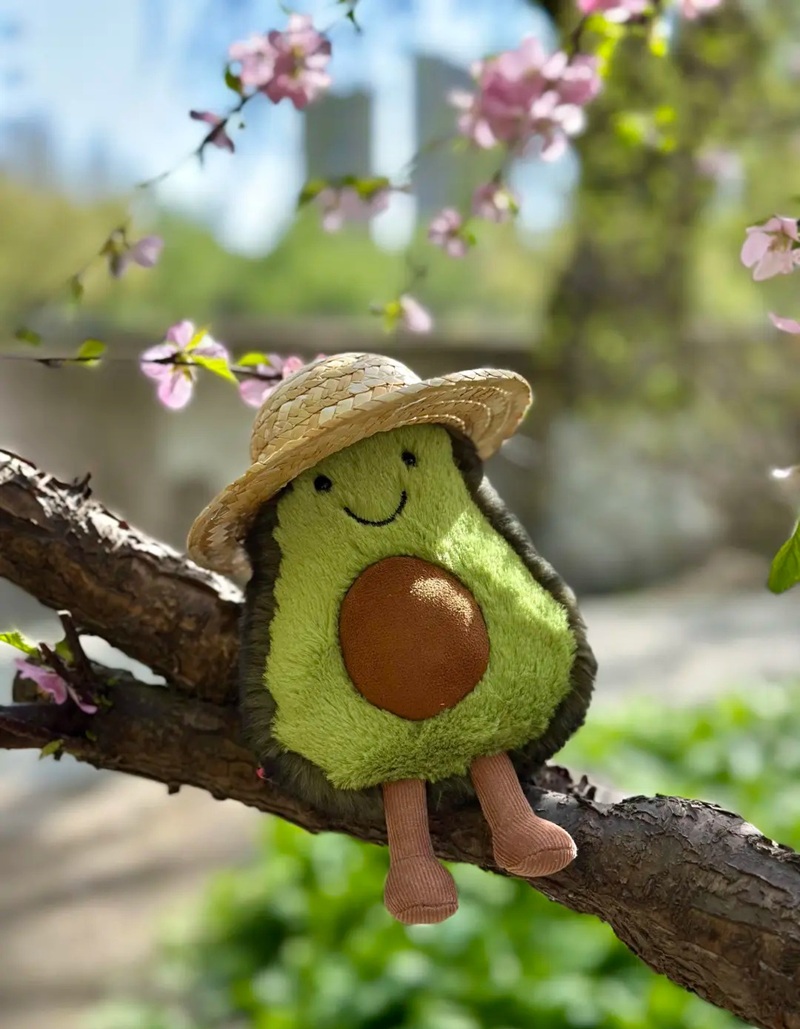 avatar quả bơ cute 2