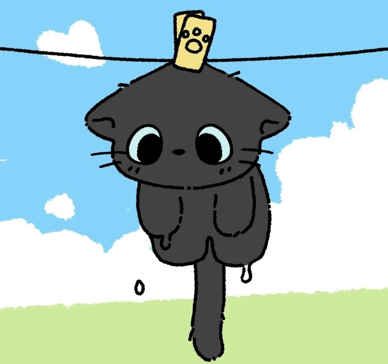 hình mèo anime 12