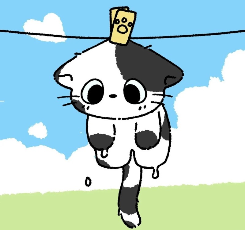hình mèo anime 12