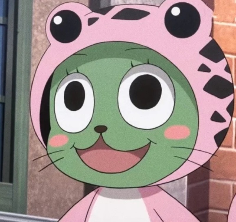 hình mèo anime 14