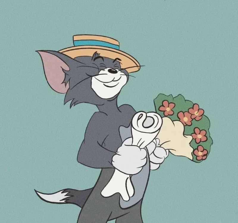hình mèo anime 29