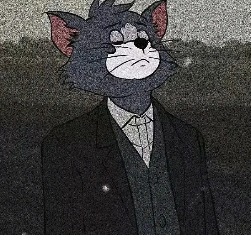 hình mèo anime 30