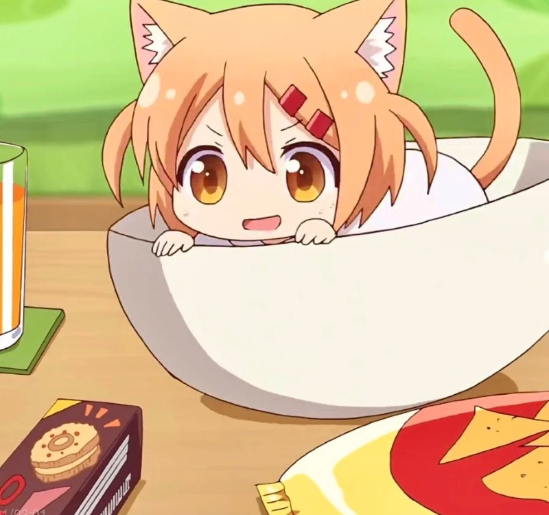 hình mèo anime 32