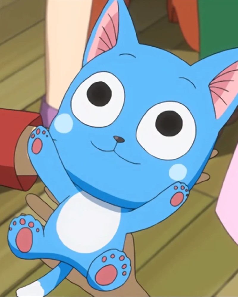 hình mèo anime 4
