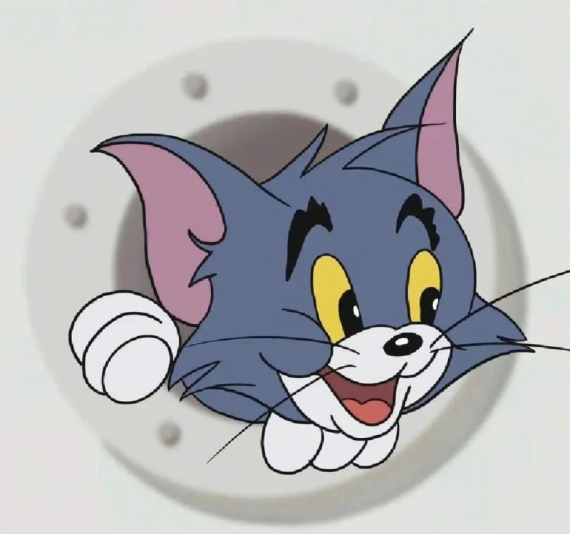 hình mèo anime 6