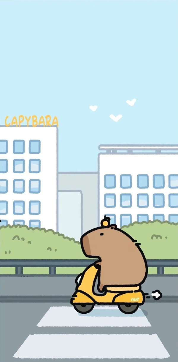 hình nền capybara cute chibi 1