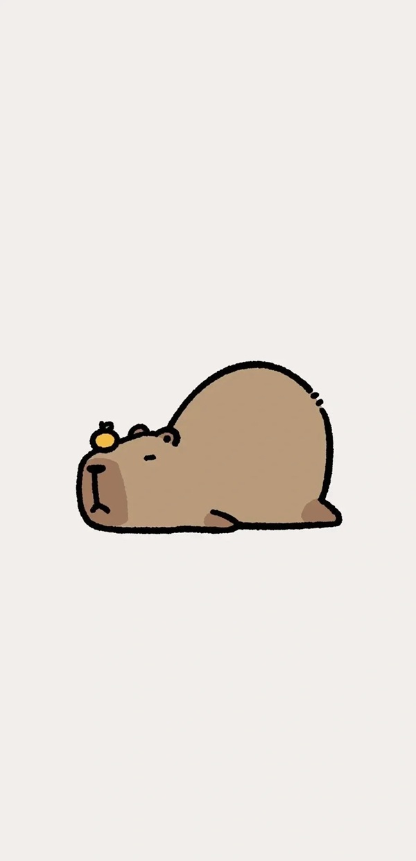 hình nền capybara cute chibi 24