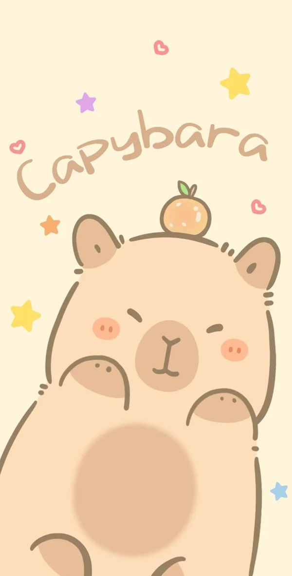 hình nền capybara cute chibi 26