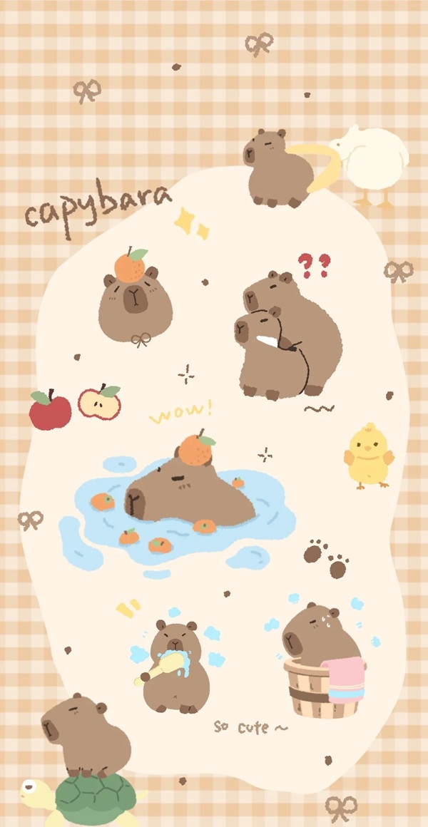 hình nền capybara cute chibi 31