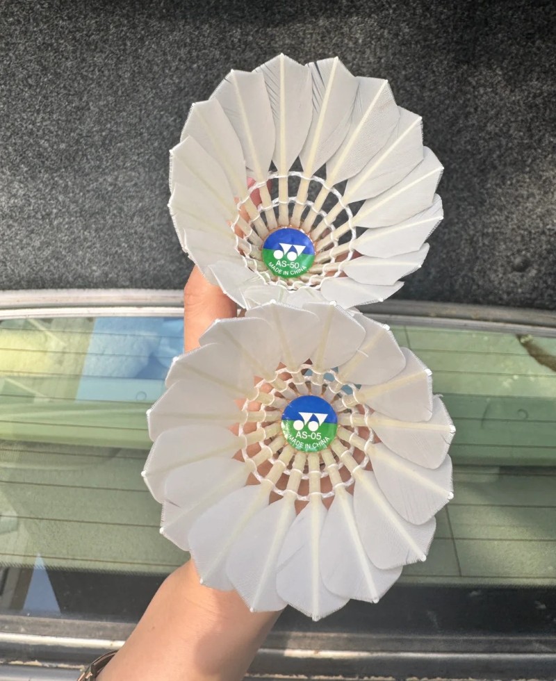 hình nền cầu lông yonex 19