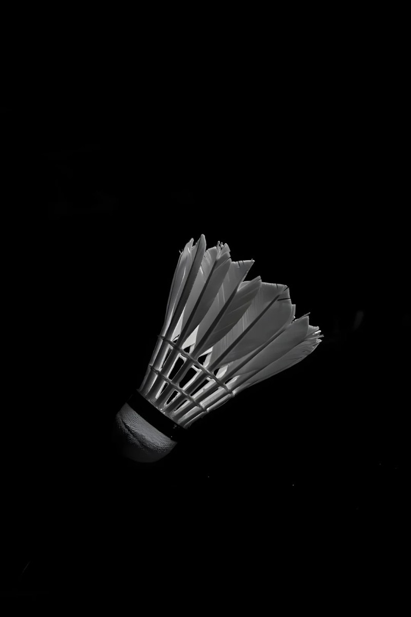 hình nền cầu lông yonex 22