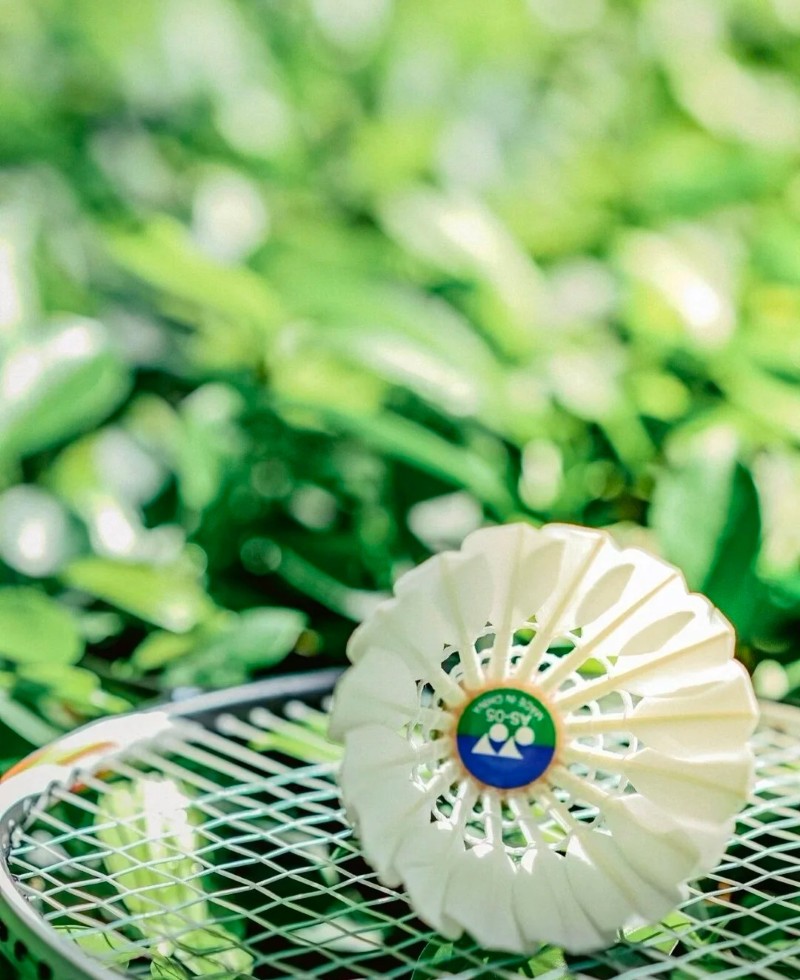 hình nền cầu lông yonex 8