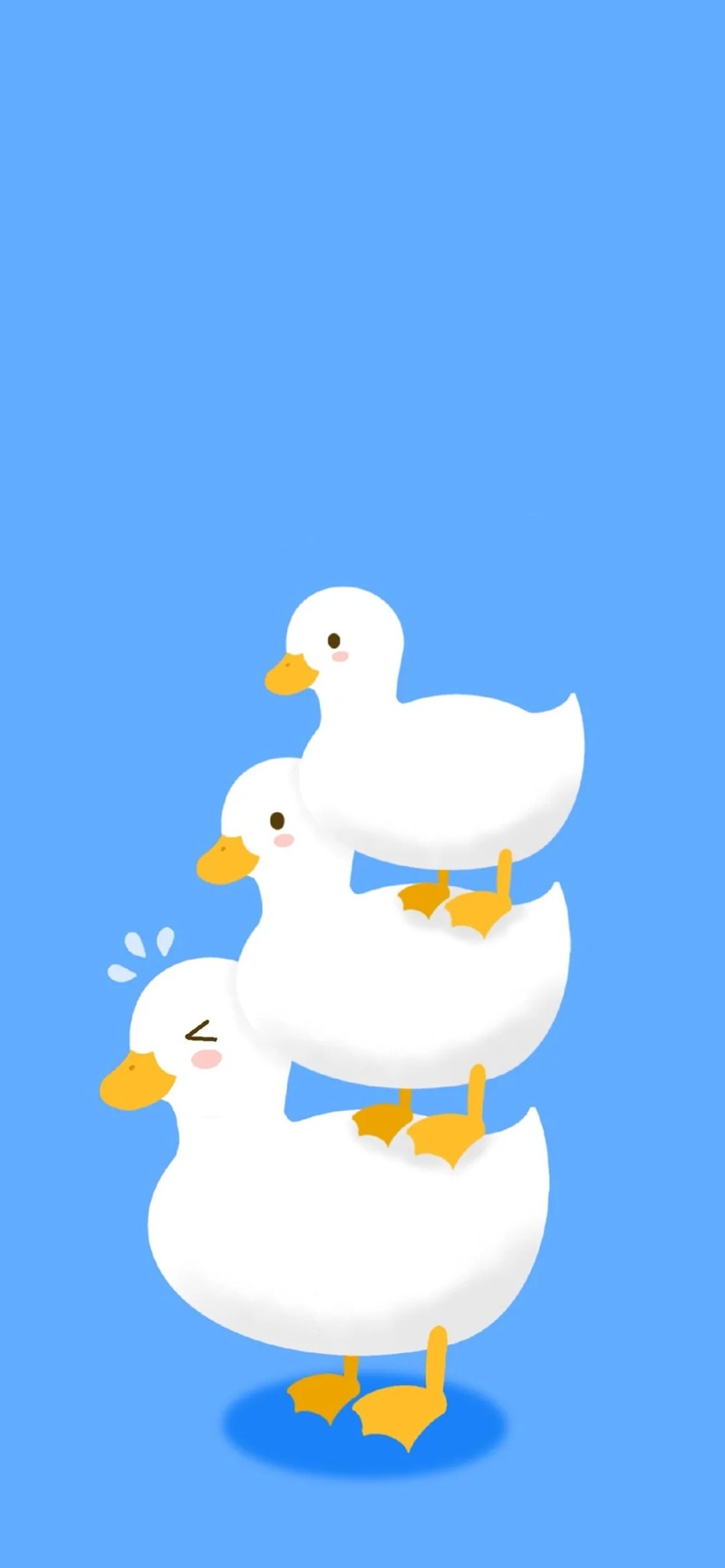 hình nền con vịt trắng cute 16