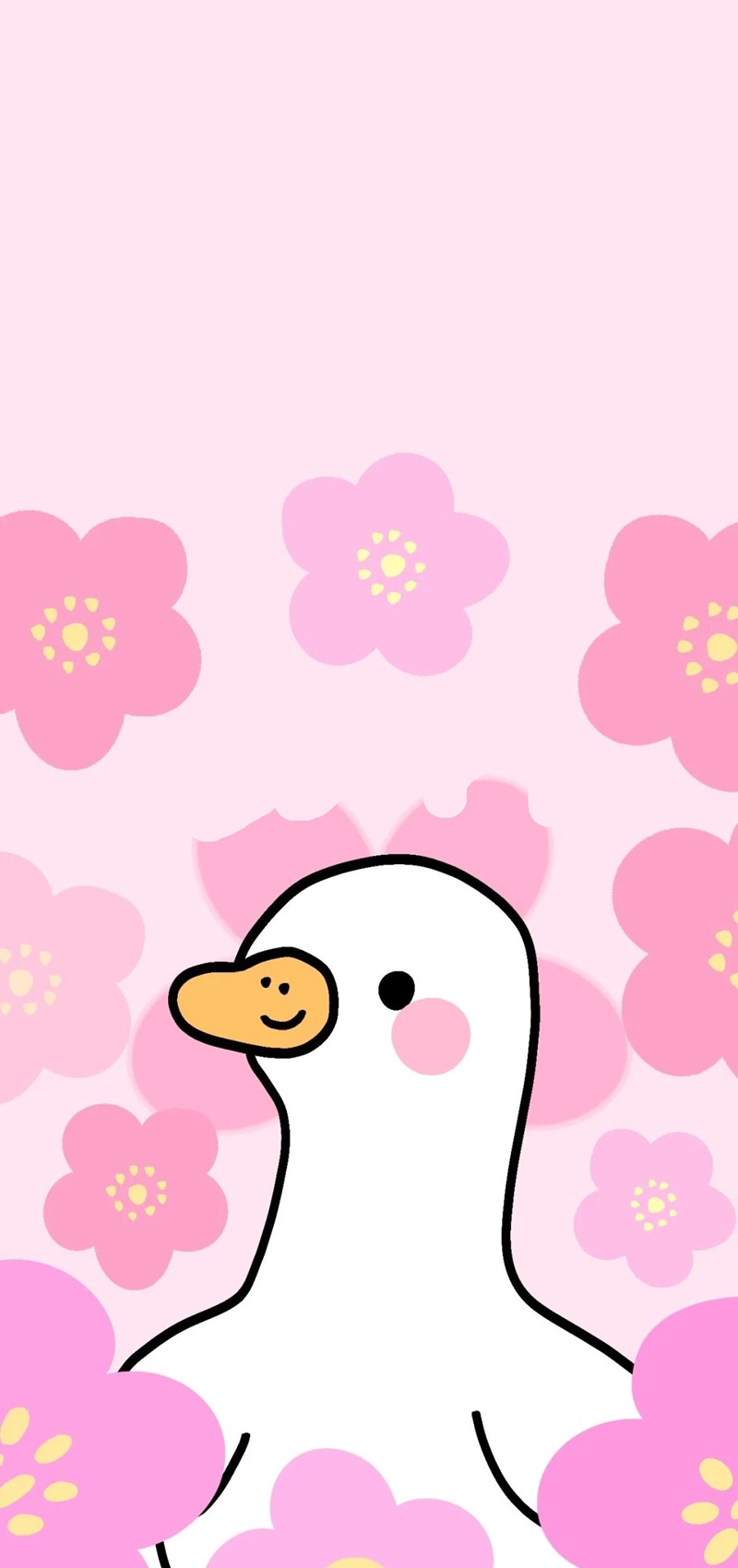 hình nền con vịt trắng cute 20