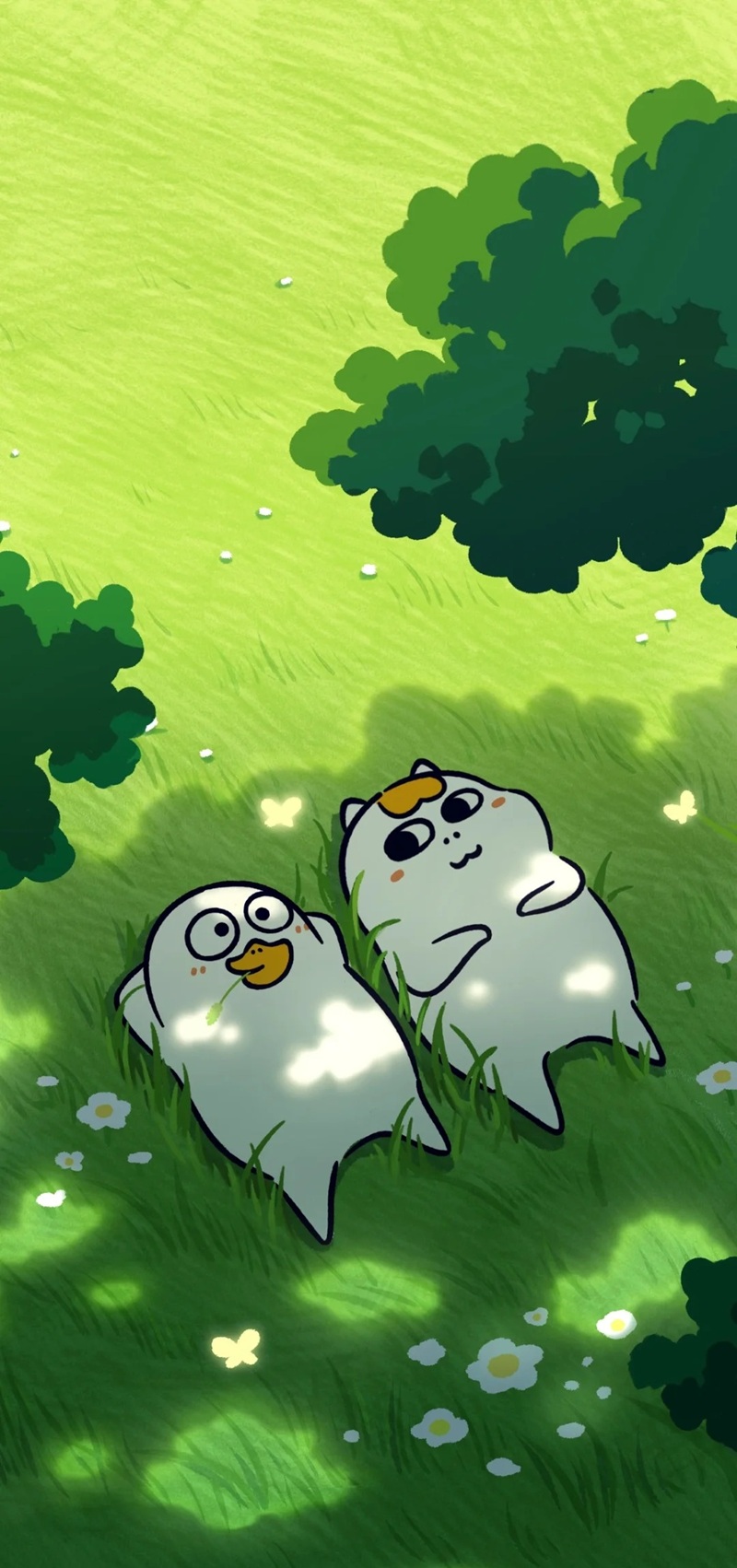 hình nền con vịt trắng cute 25