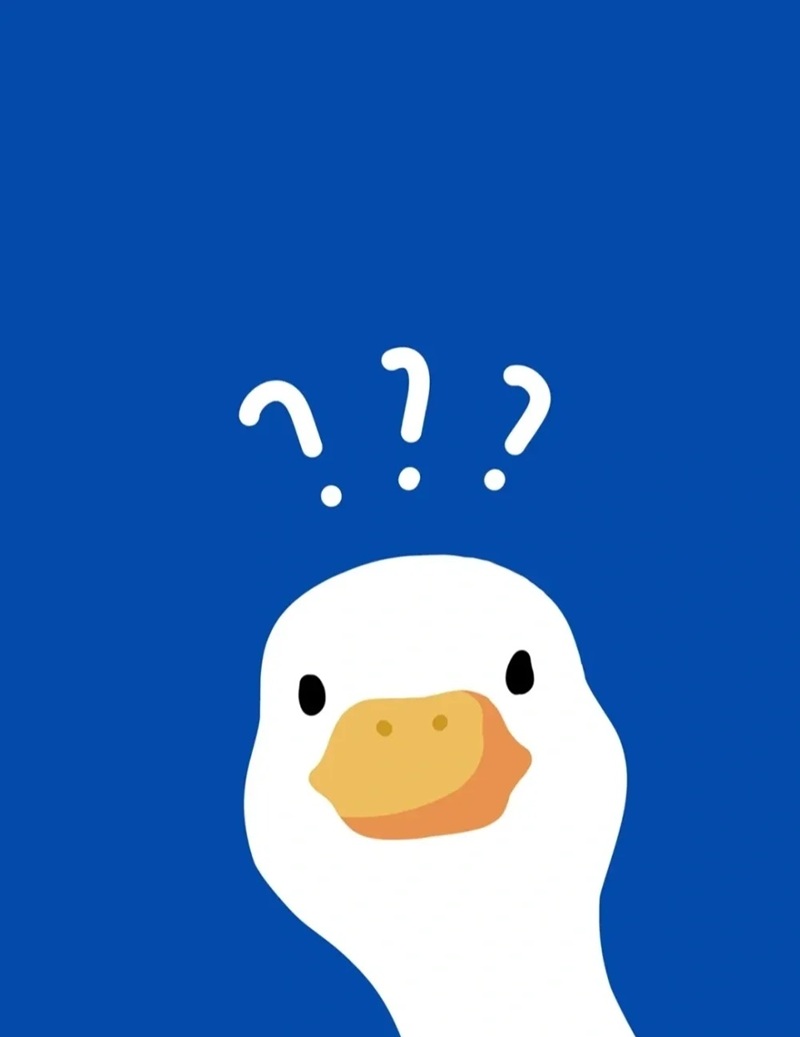 hình nền con vịt trắng cute 29
