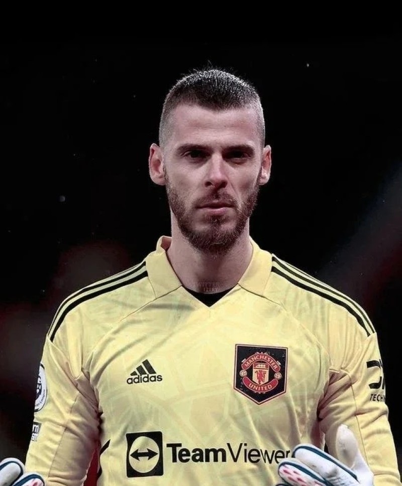 hình nền de gea đẹp 13
