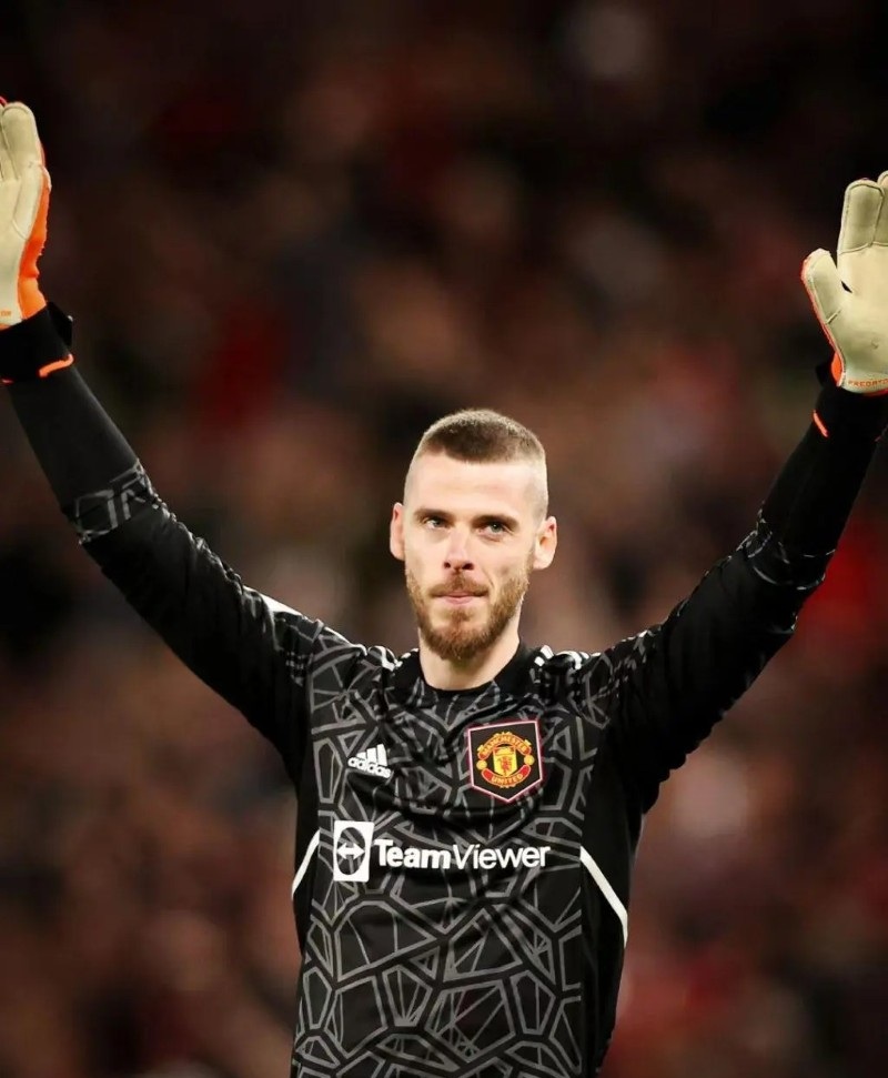 hình nền de gea đẹp 15