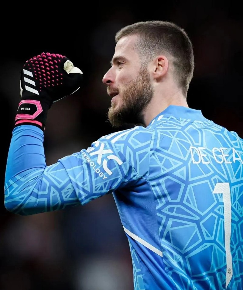 hình nền de gea đẹp 17