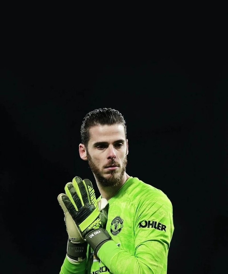 hình nền de gea đẹp 2