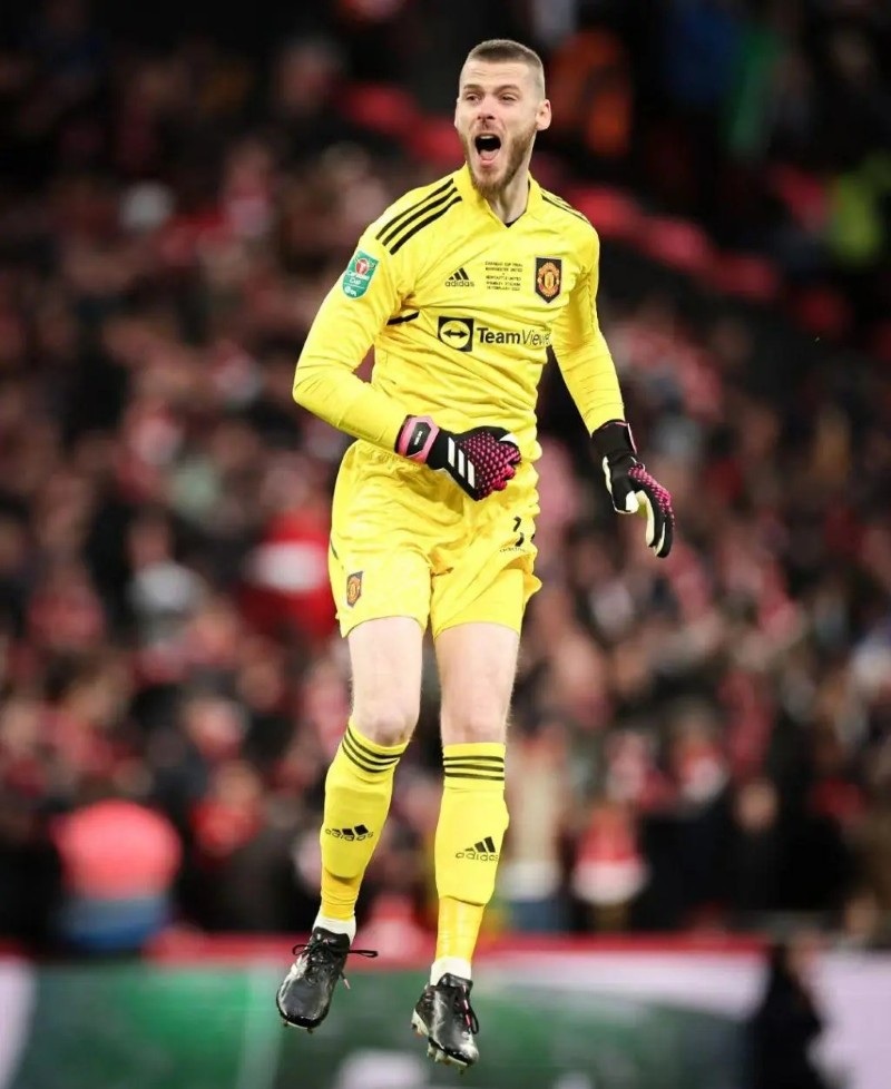 hình nền de gea đẹp 28