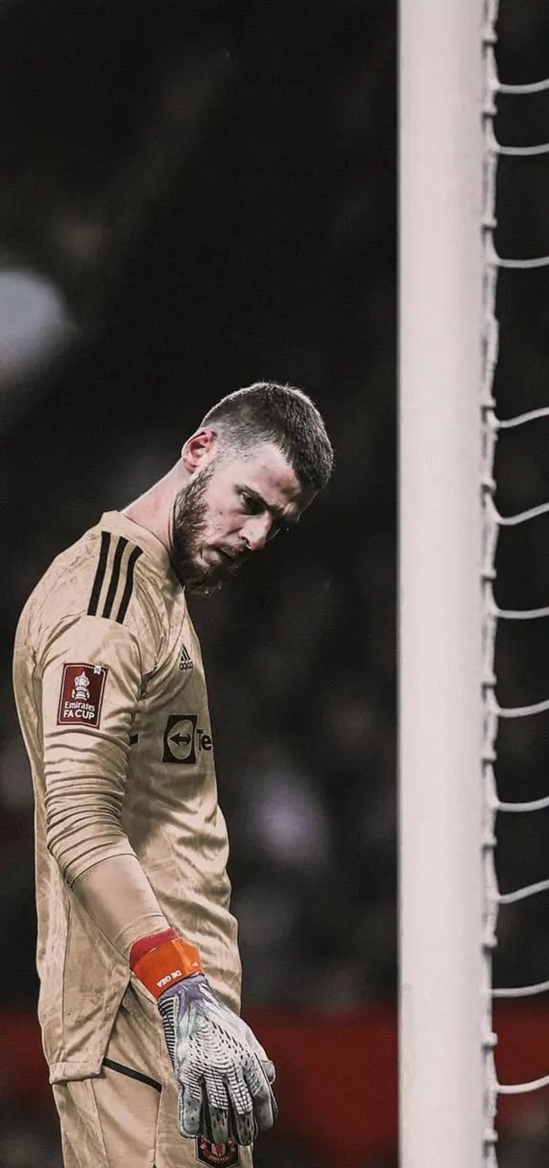 hình nền de gea đẹp 33