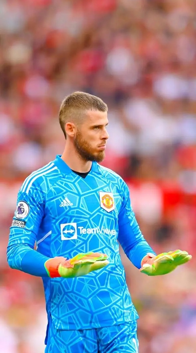 hình nền de gea đẹp 34