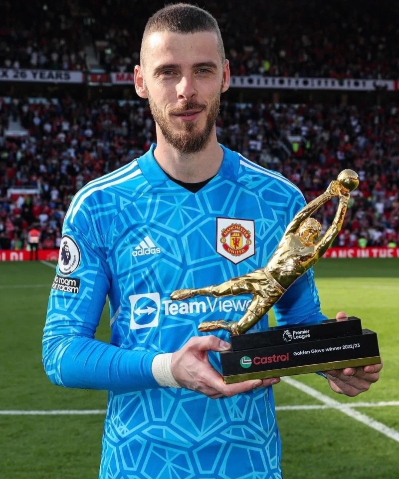 hình nền de gea đẹp 4